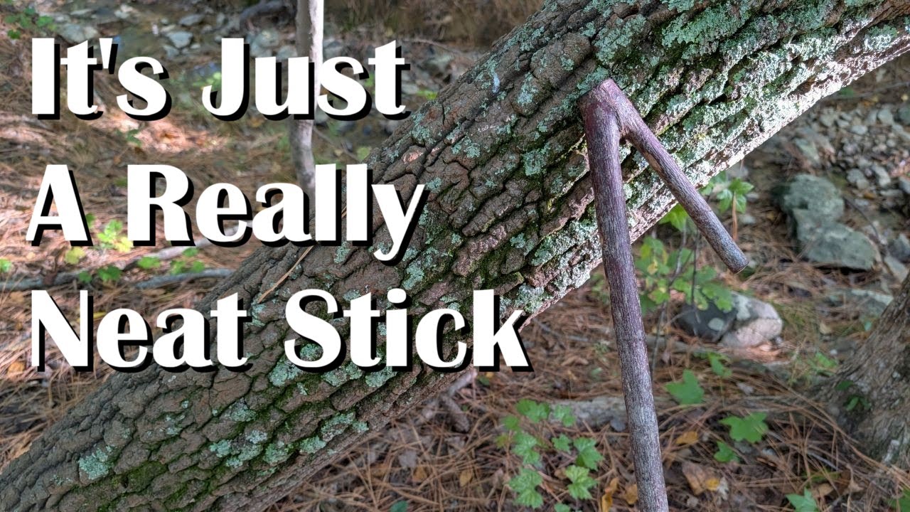 A Really Neat Stick