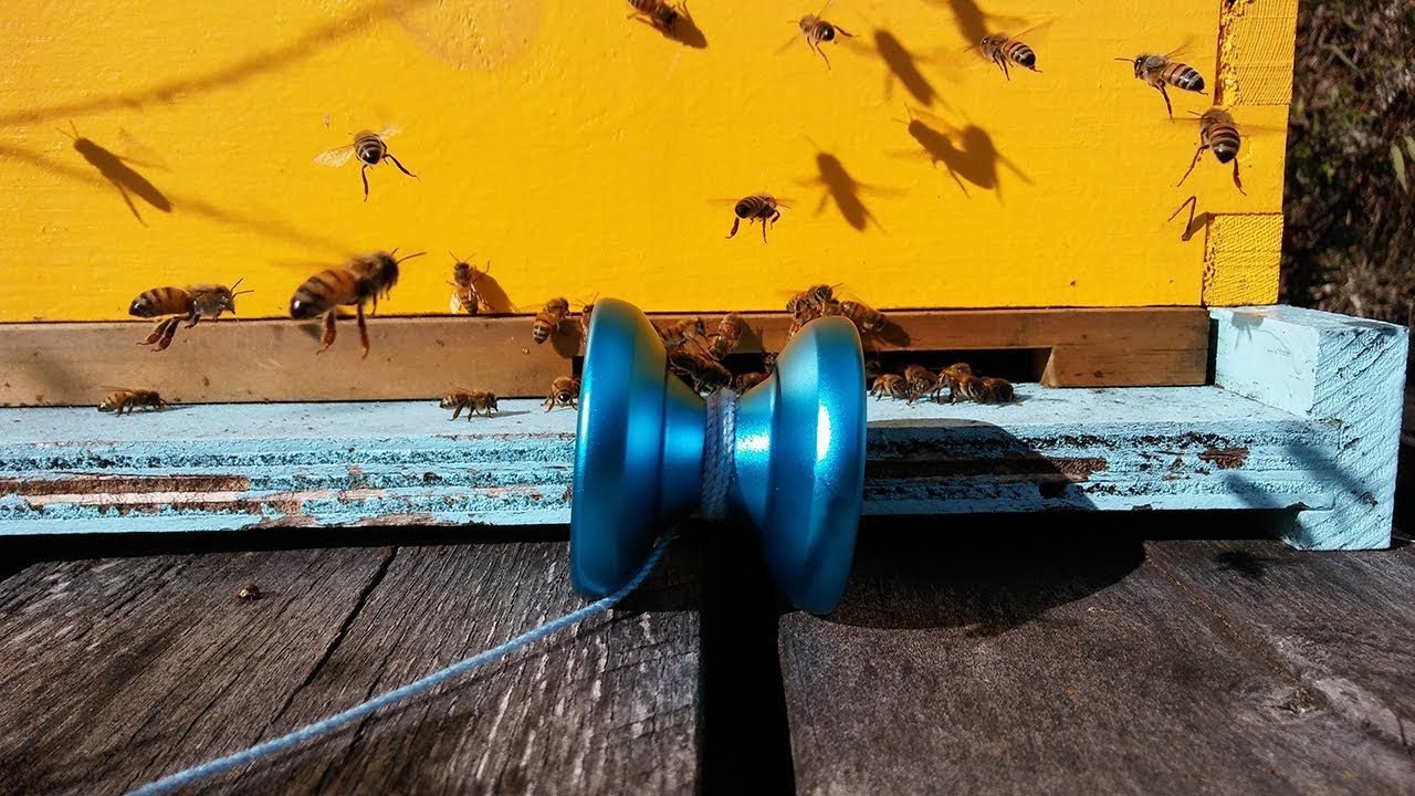 Mailday Tricks With The Shutter Wide Angle