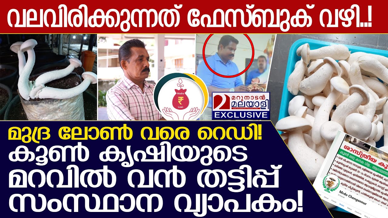 മുദ്ര ലോൺ വരെ റെഡി!  കൂൺ കൃഷിയുടെ മറവിൽ വൻ തട്ടിപ്പ്!  I  Mushroom Farming Mrdo Chengannur