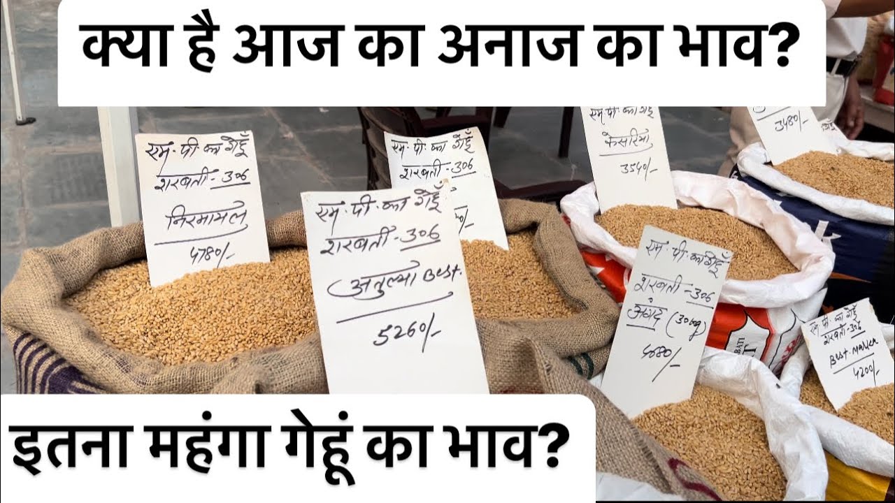 Anaj ke bhav ( Najafgarh Anaj mandi ) 🤑