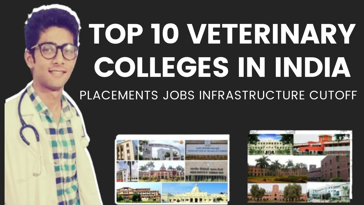 ⭕BEST TOP 10 VETERINARY SCIENCE COLLEGES IN INDIA | PLACEMENTS JOBS INFRASTRUCTURE CUTOFF | BVSC ⭕