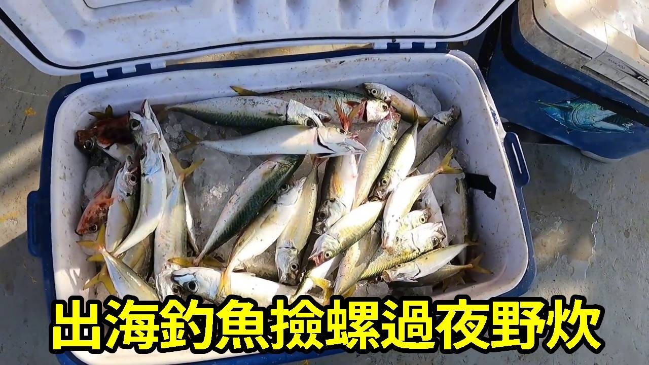 潮出海，釣魚撿螺，枕著海浪過夜，等一場絕美日出日落 【莆農阿敏】