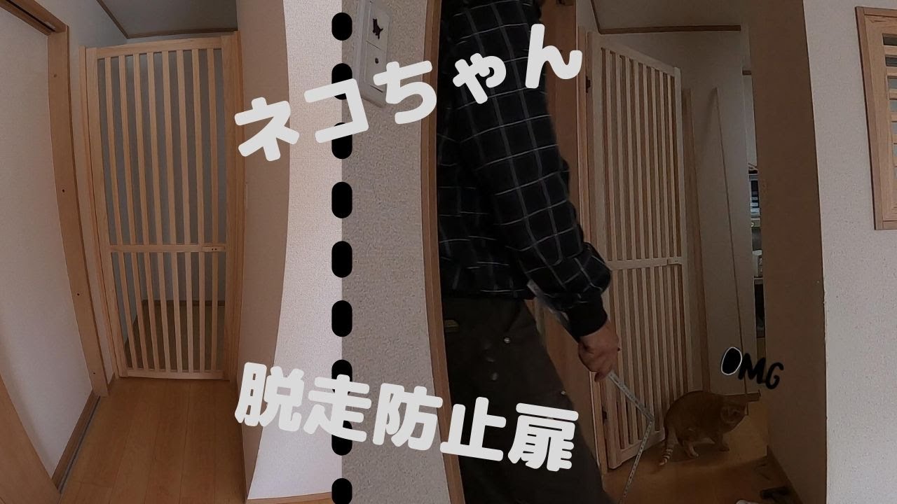 【大工が作る】ネコちゃん脱走防止扉