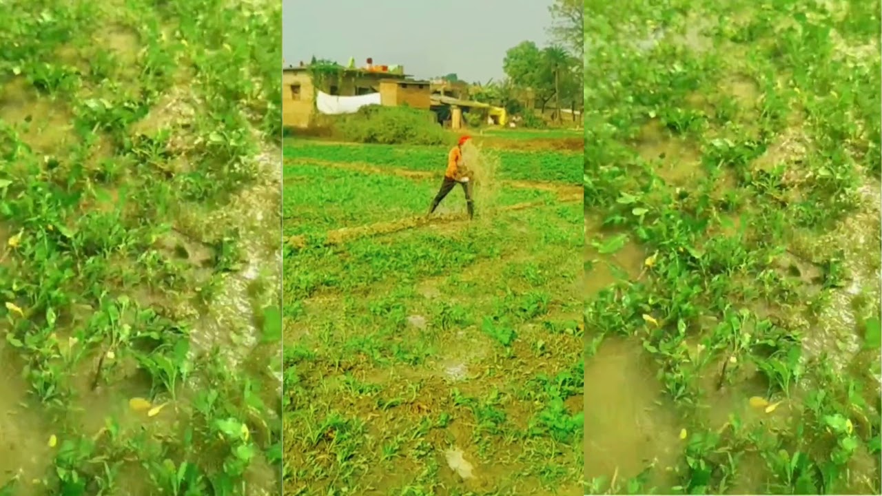 whatsapp status 🥰 ll farmers 🌾 life status❣️#farmers #reels  #status #love #viral #shorts #trending