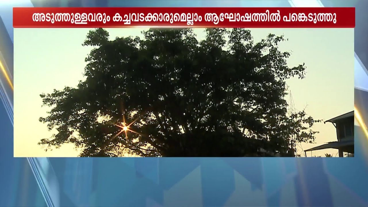 'മരമായാലെന്താ ബർത്ത് ഡേ പാടില്ലേ?'; അരയാൽ മുത്തശ്ശന്‍റെ പിറന്നാൾ ആഘോഷമാക്കി ട്രീ വാക്ക്