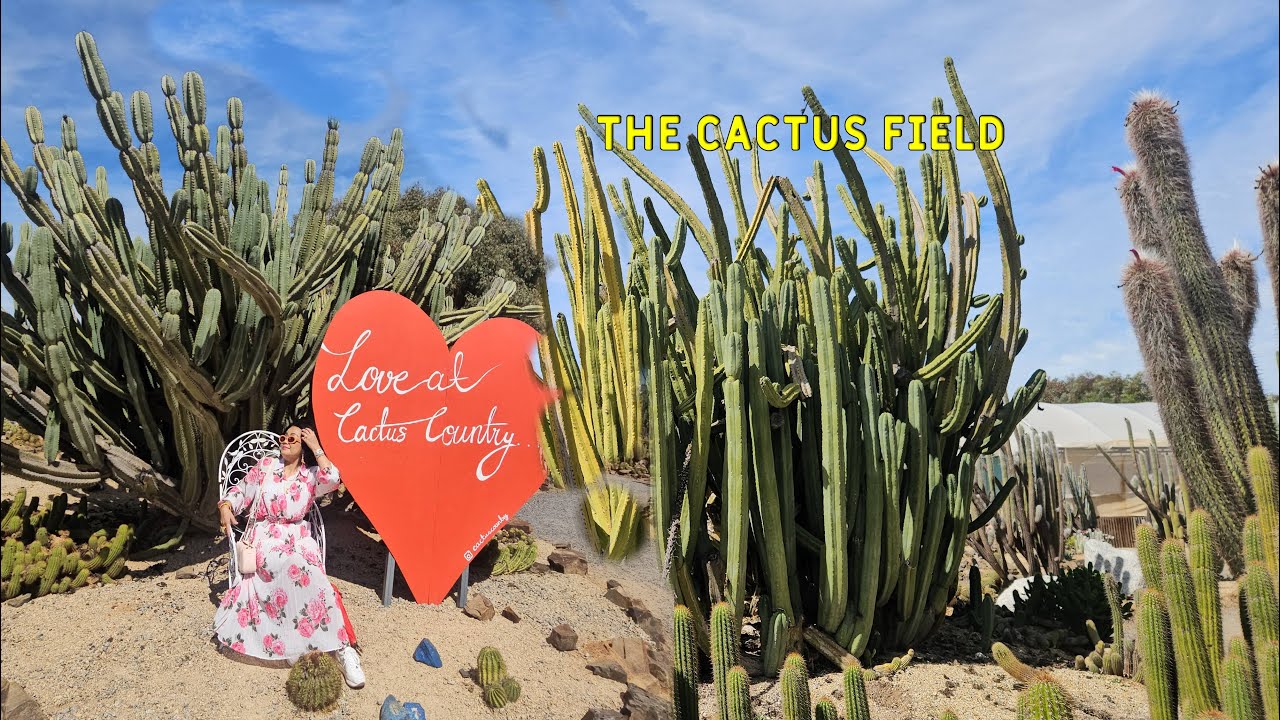 Weekend Trip to This Cactus Country Is Not in America!