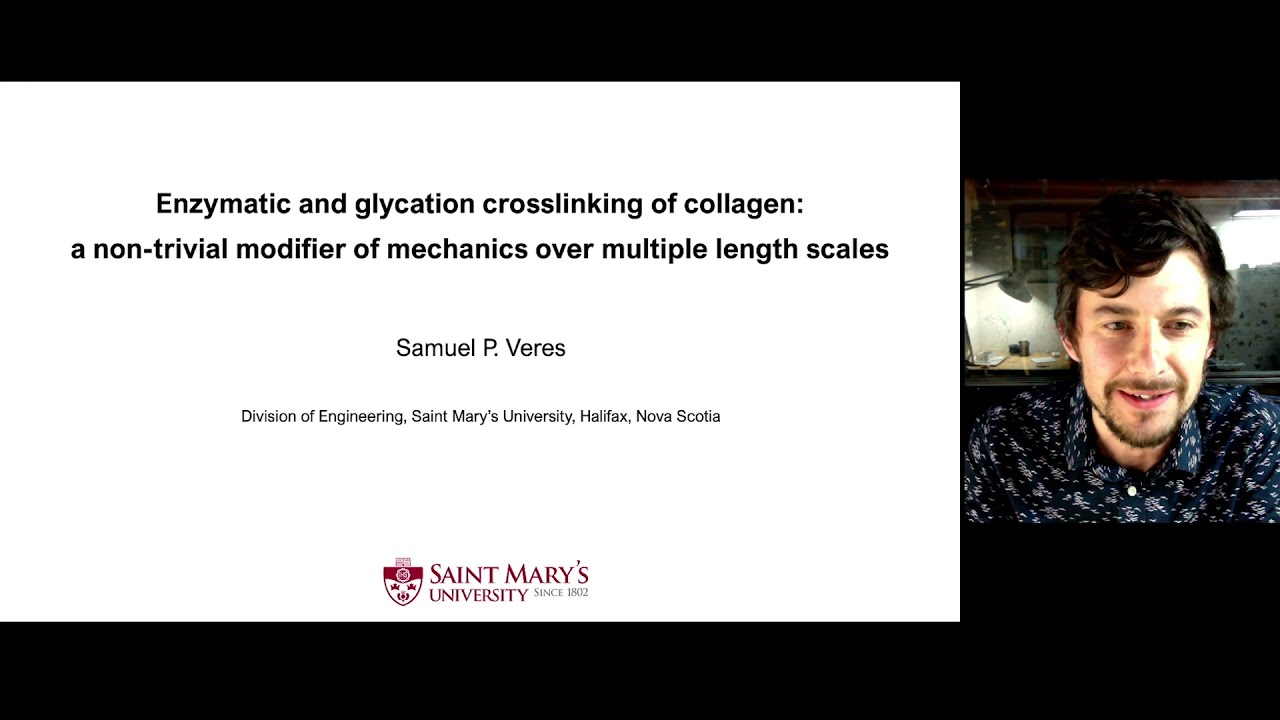 Enzymatic and glycation crosslinking of collagen