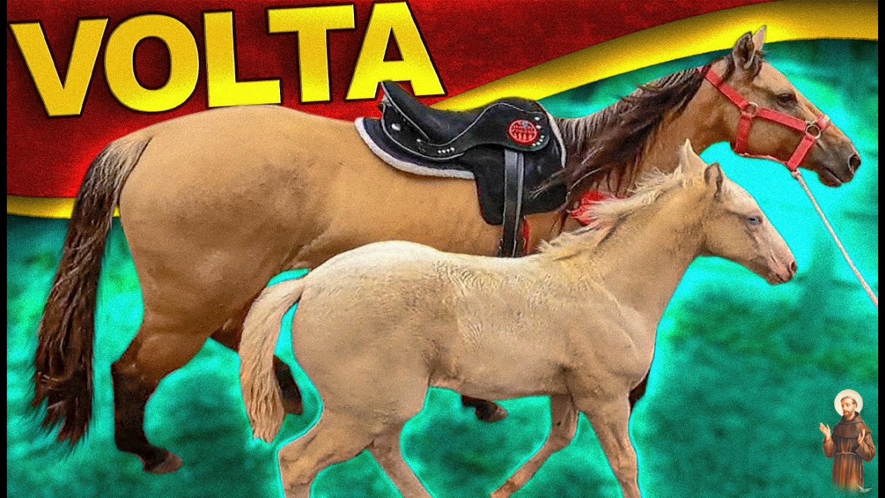 Volta com a Égua Diana com a potra