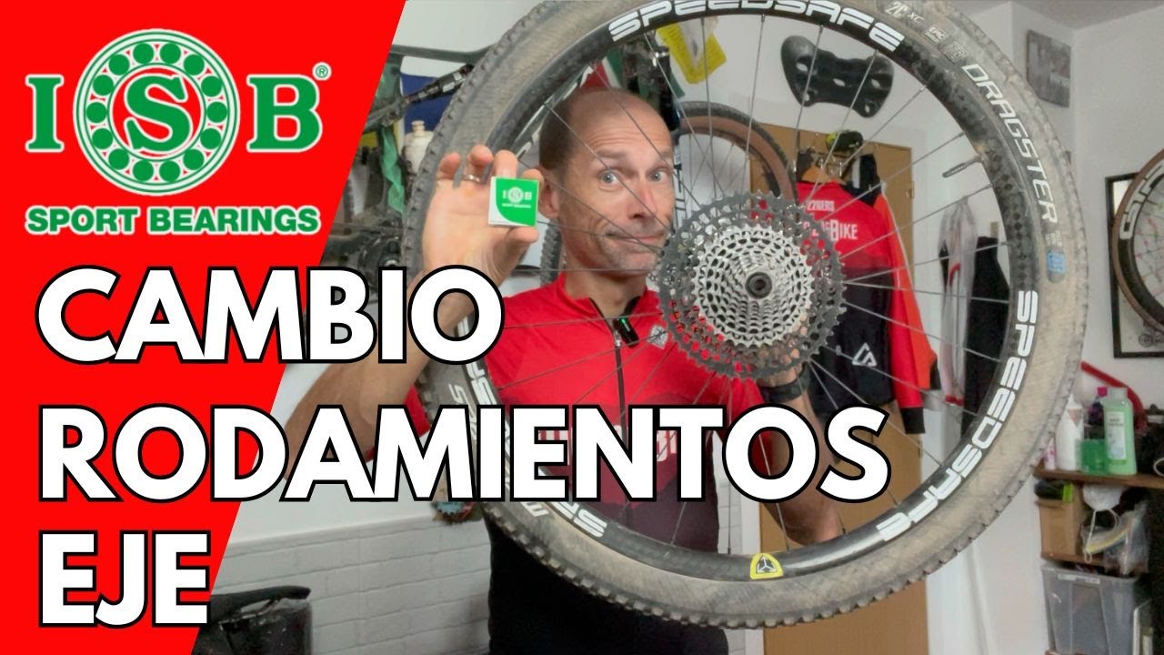 Cambio rodamientos del eje de la rueda trasera en casa