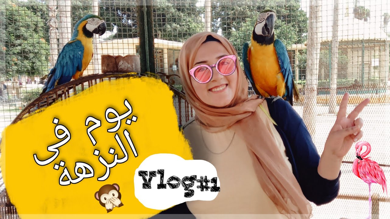 #فلوج ، يوم فى #النزهة 🤗 ( #حديقة #حيوان #الاسكندرية ) مفاجأة مكان غير مكتشف فى الحديقة🤫