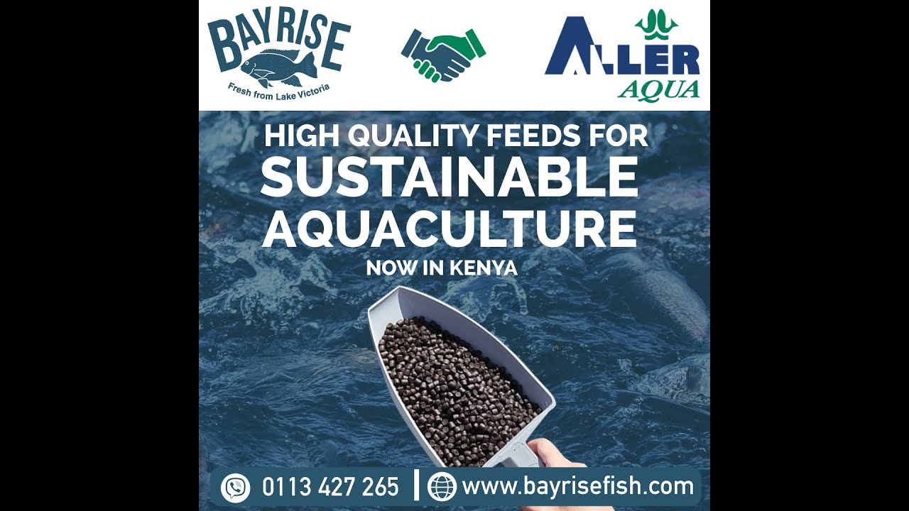 Bayrise Aller Aqua Fish Feeds