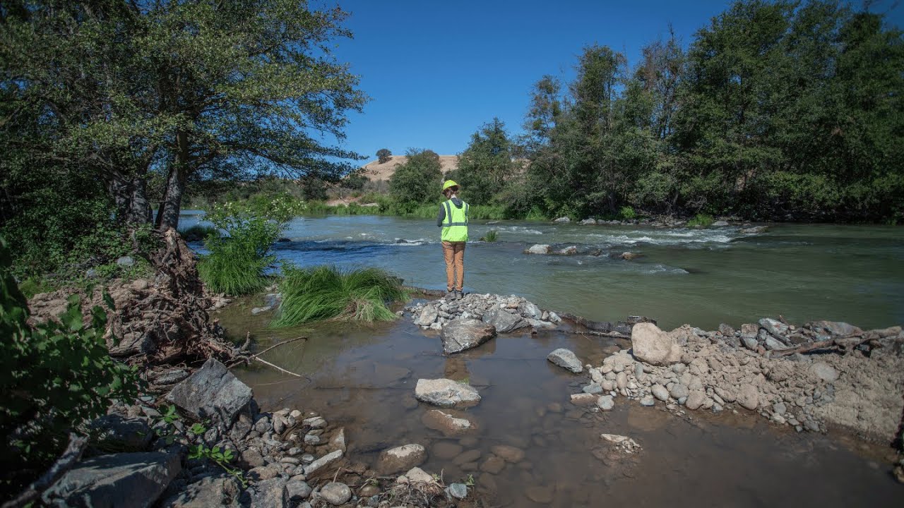Salmon Habitat Restoration on the Lower Tuolumne