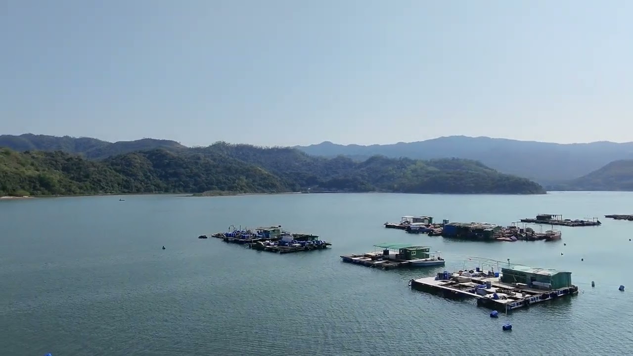 20260218 neo 沙頭角海濱出海