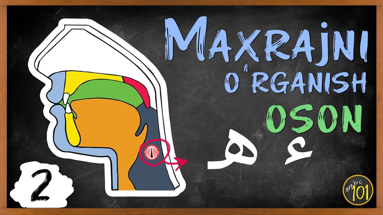 Maxrajni eng oddiy usulda tushuntirish: ء va هـ darsi | 2-dars | Arabic101