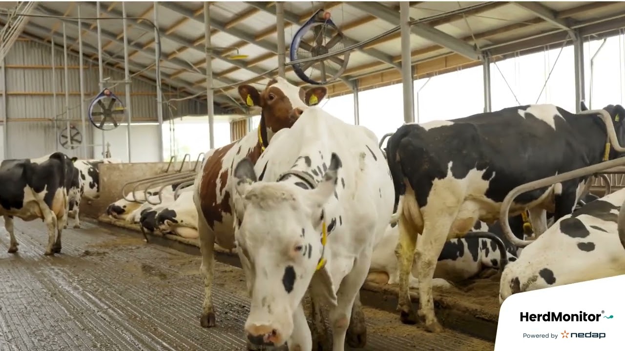 GENEX HerdMonitor Advances