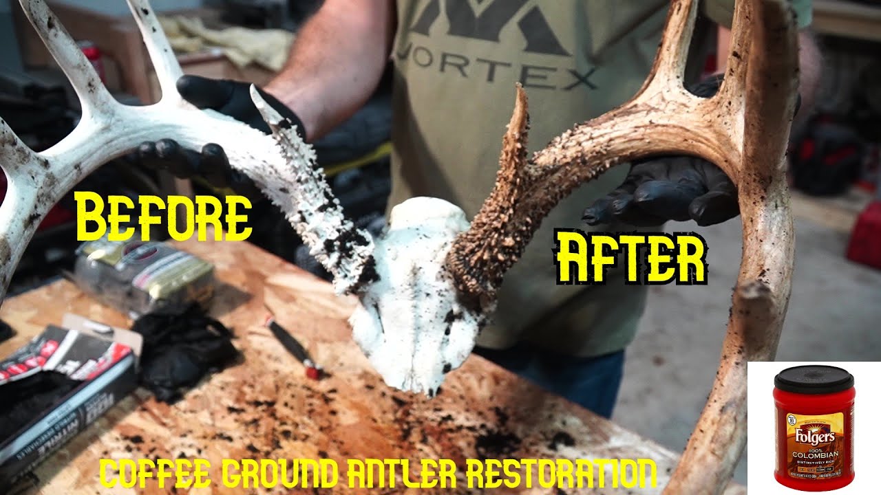 Coffee Ground Antler Restoration | Restore old sheds and dead heads to a natural look | Unguided Adv