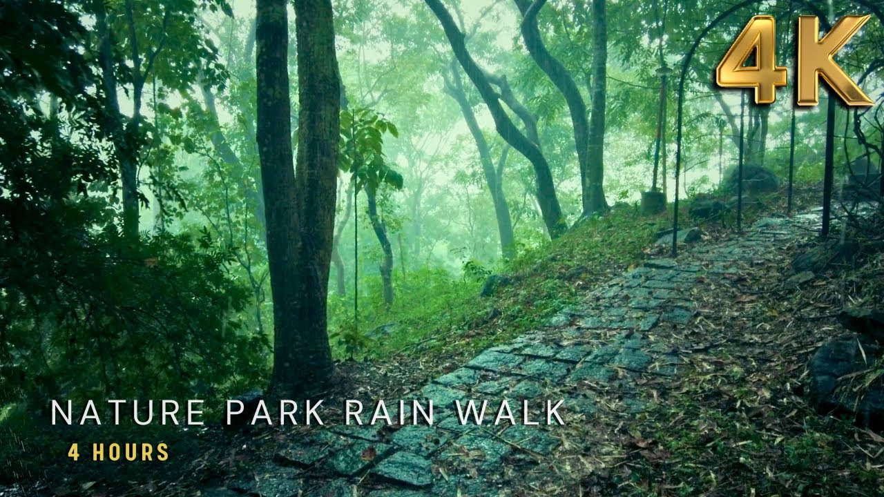 [4K] Refreshing Walk in Rain in a Nature Park | Relaxing Rain Ambience for Sleep & Study - ASMR