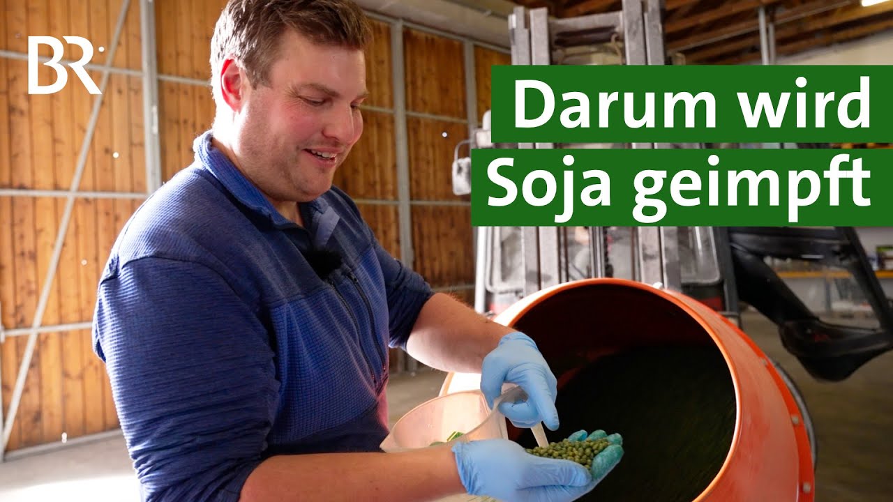 Soja impfen – warum und wie? Zwei Methoden im Vergleich | Unser Land | BR