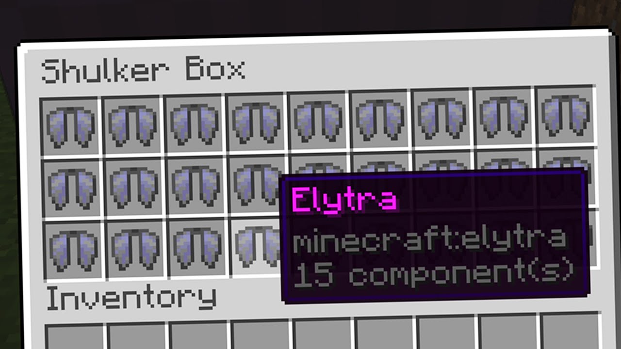 KRADNIEMY WSZYSTKIE ELYTRY na ANARCHII SMP 3!