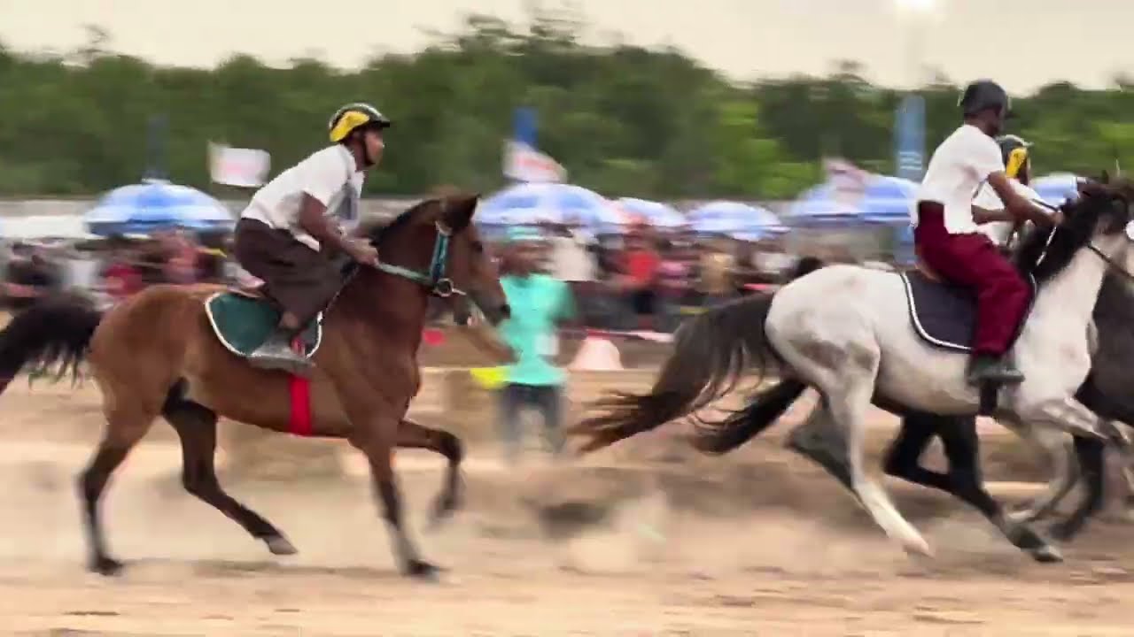 ការប្រណាំងសេះII Horse Racing in Khmer New Year 2025 | Traditional Sport & Celebration in Cambodia