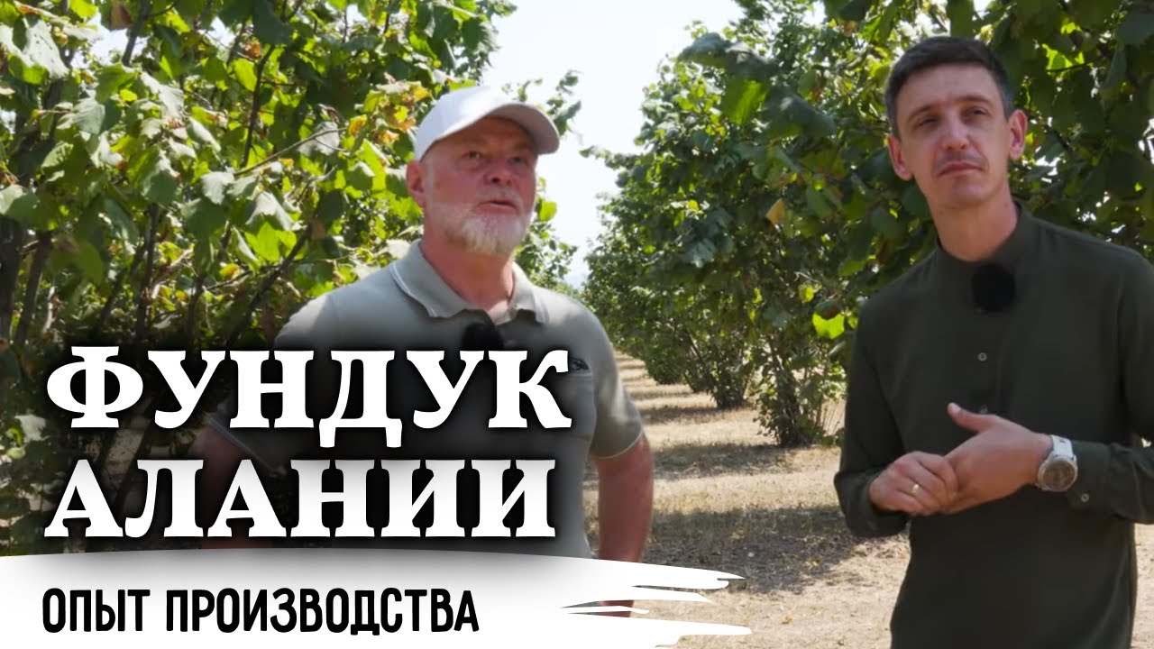 Фундук, который меняет игру // Бизнес с перспективой на десятилетия