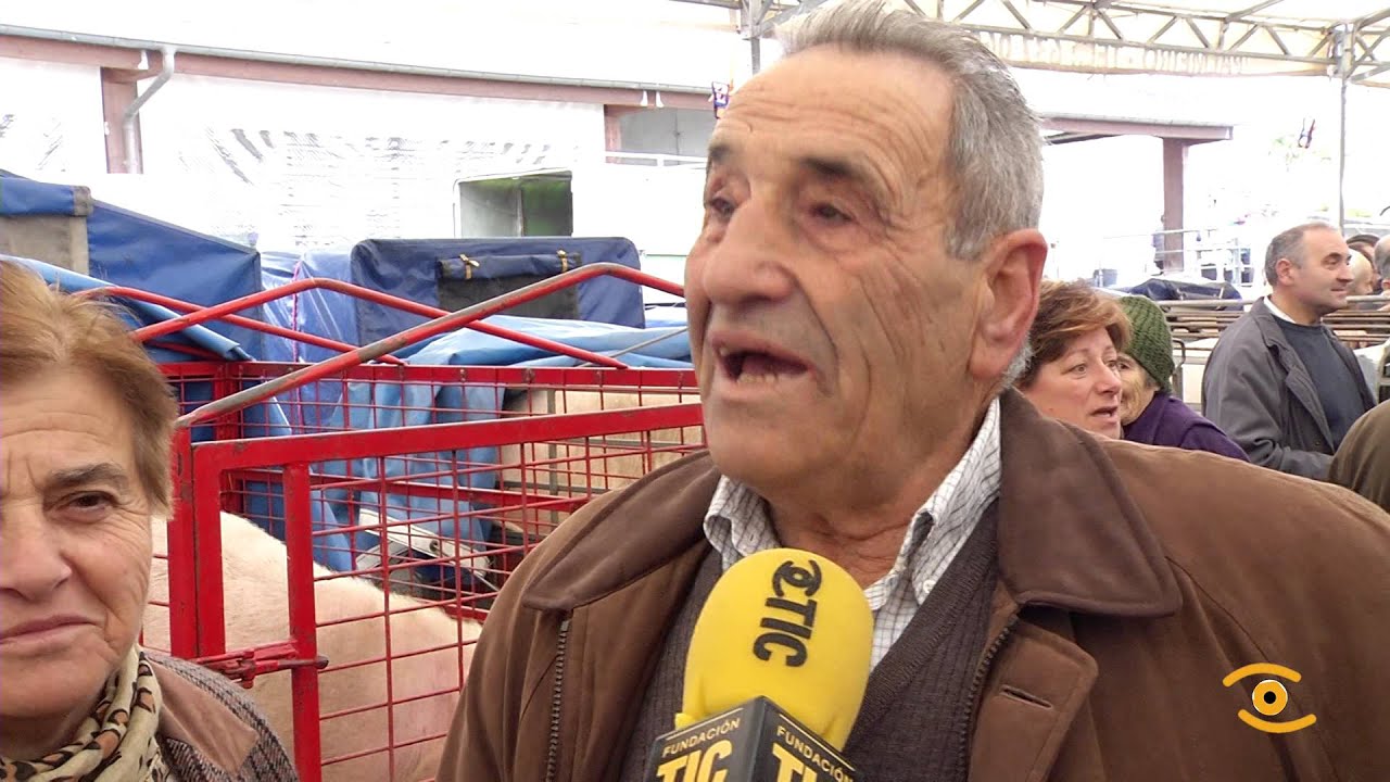 Noticia de Lugo: XXVII Feira do Porco da Ceba en Cospeito