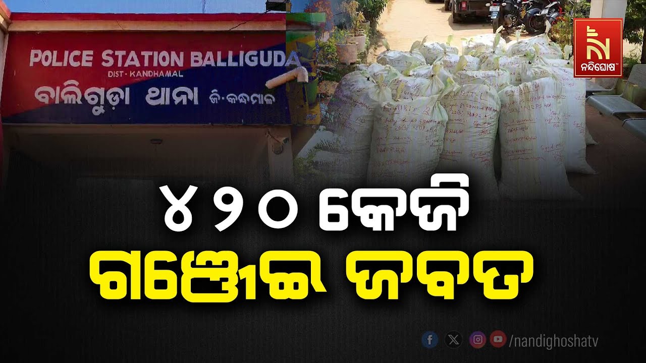 Baliguda: 420 Kg Ganja Seized In Badeketa |  Nandighosha TV