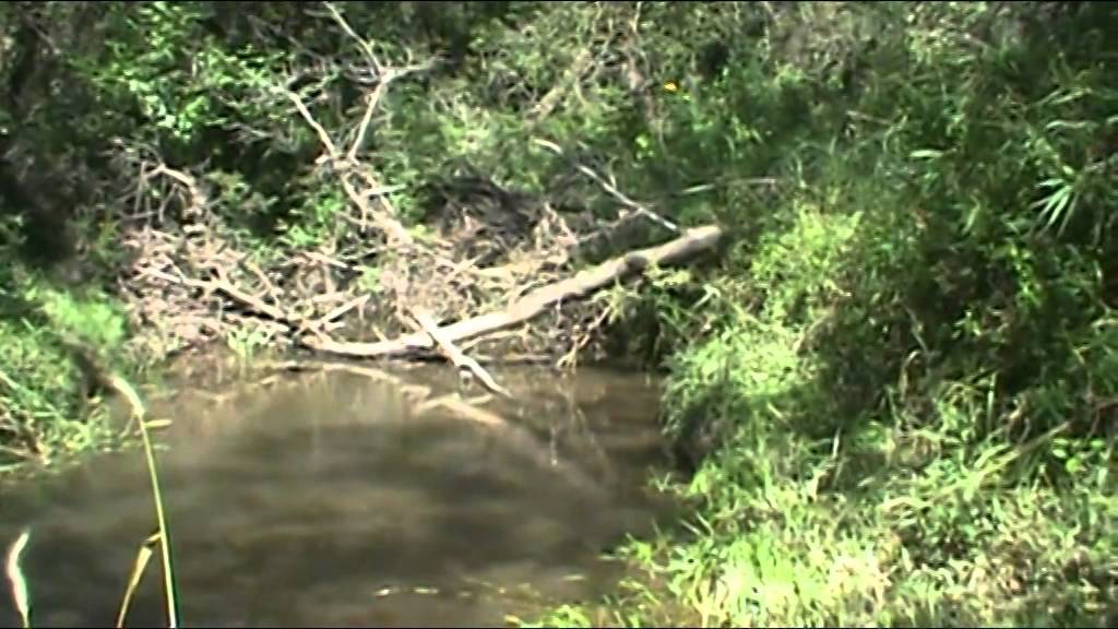 Gold Prospecting Basics, Wisconsin Gold