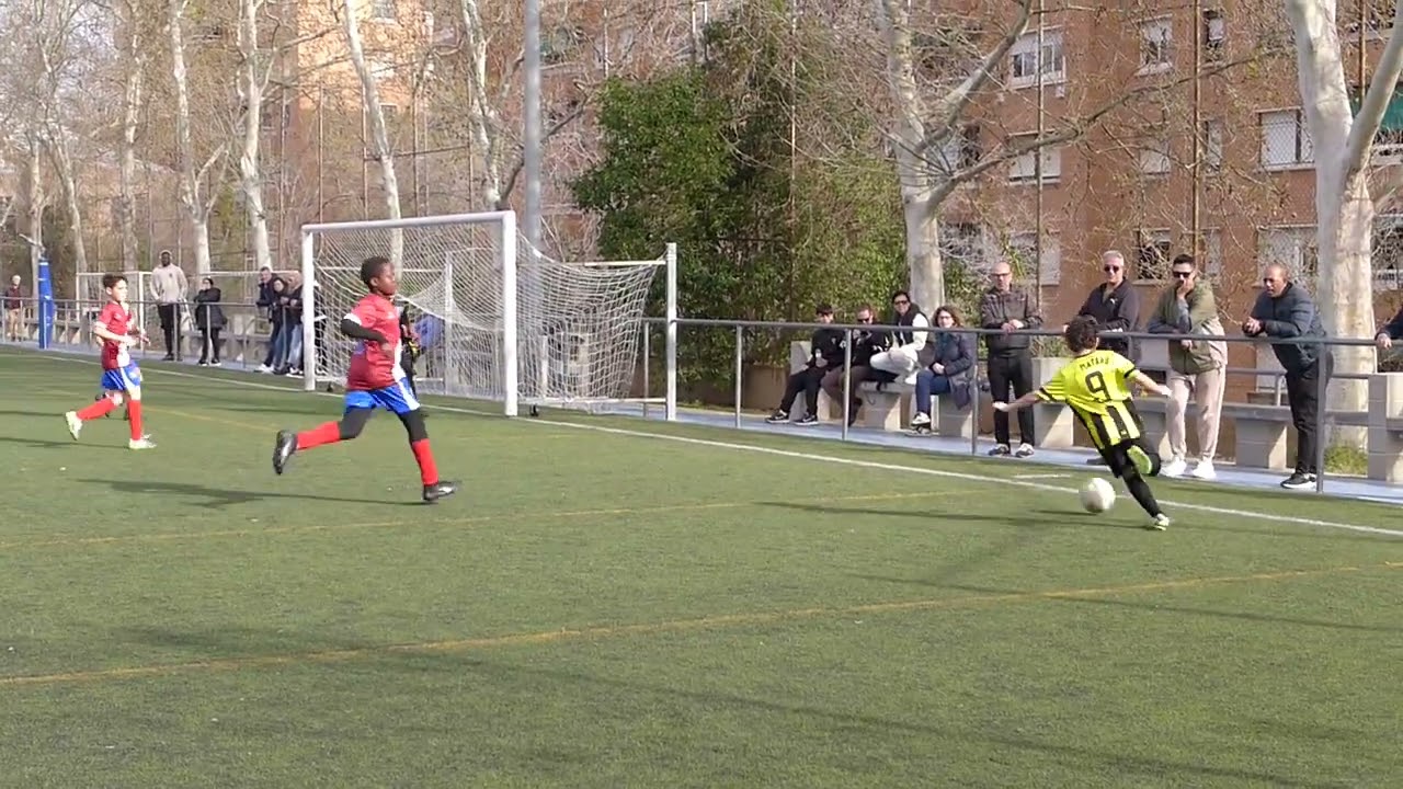 Lloreda C.F. 