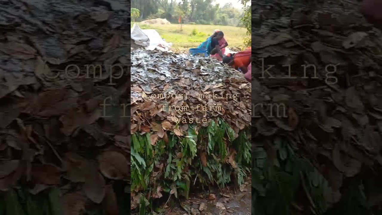 Farm waste made into compost