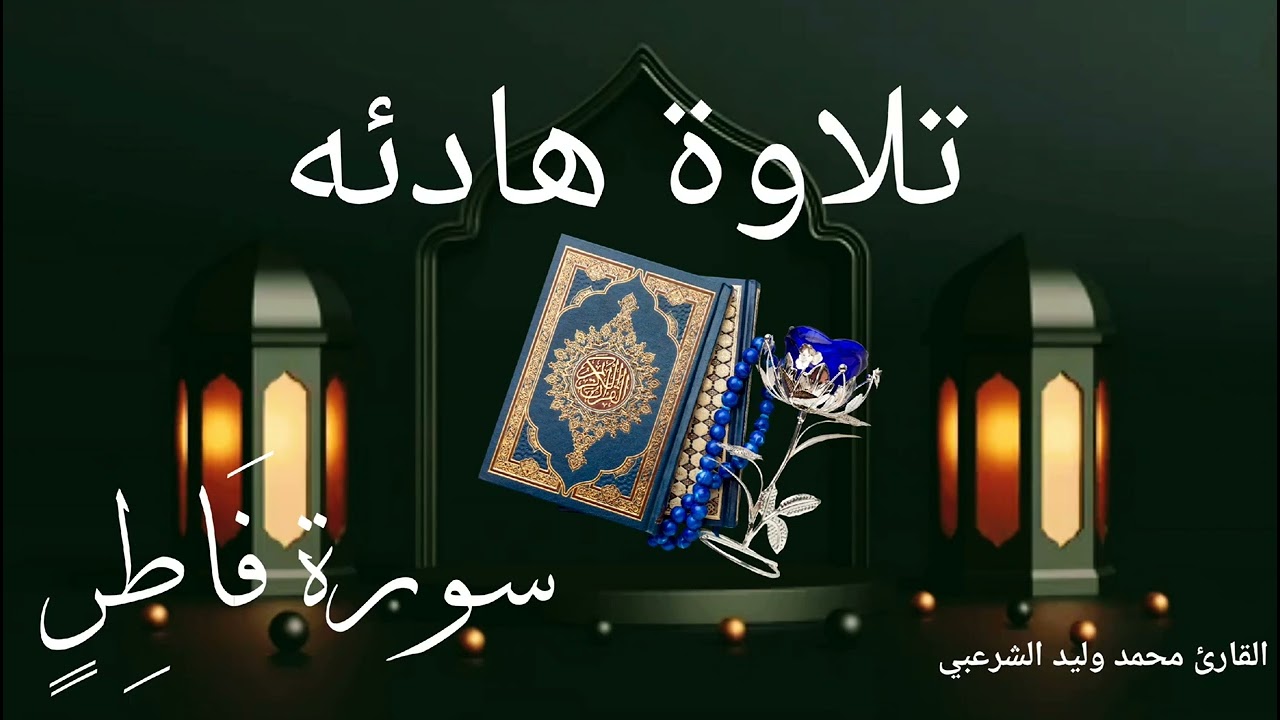 سورة فاطر بصوت القارئ ||محمد وليد الشرعبي||