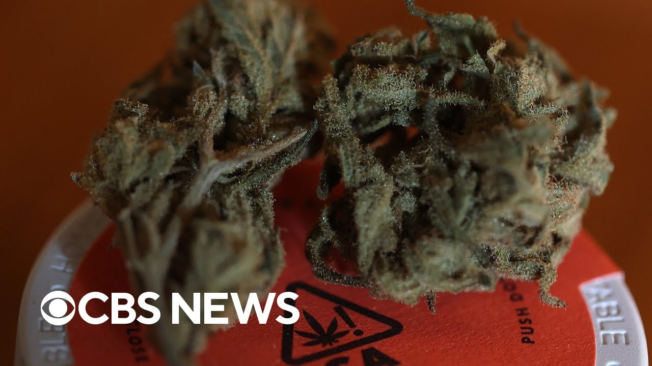 DOJ move to reclassify marijuana won't legalize it for recreational use