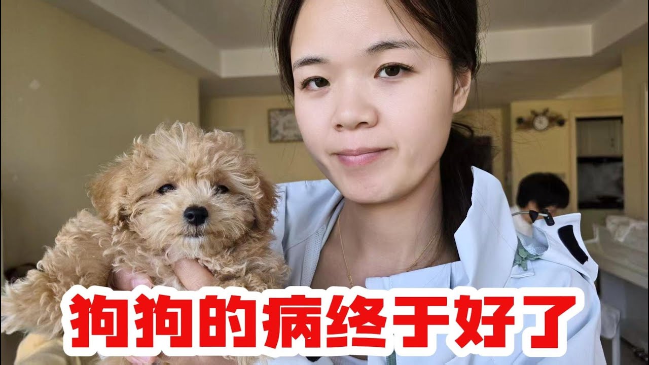 咱家狗狗生病终于好了，下面就是给狗狗其名字了#记录生活 #搞笑 #親子生活 #家庭生活