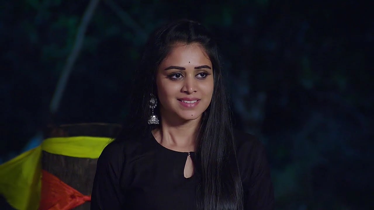 Naag Bhairavi - Full Ep - 43 - Nagarjuna, Bhairavi, Nagulu - And TV