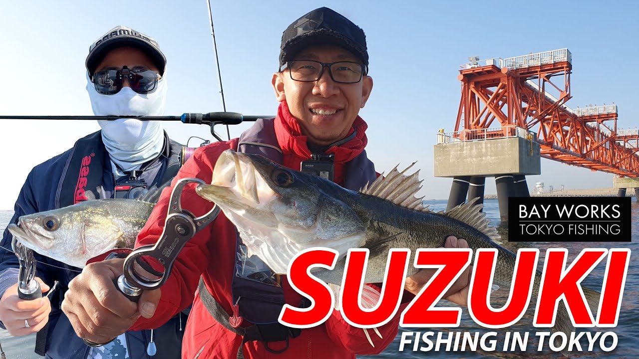 Suzuki Fishing in Tokyo Bay 2023