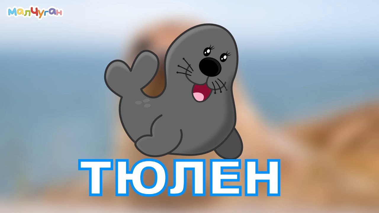 МОРСКИ ЖИВОТНИ 🦀🐟🐬| Образователно видео за деца