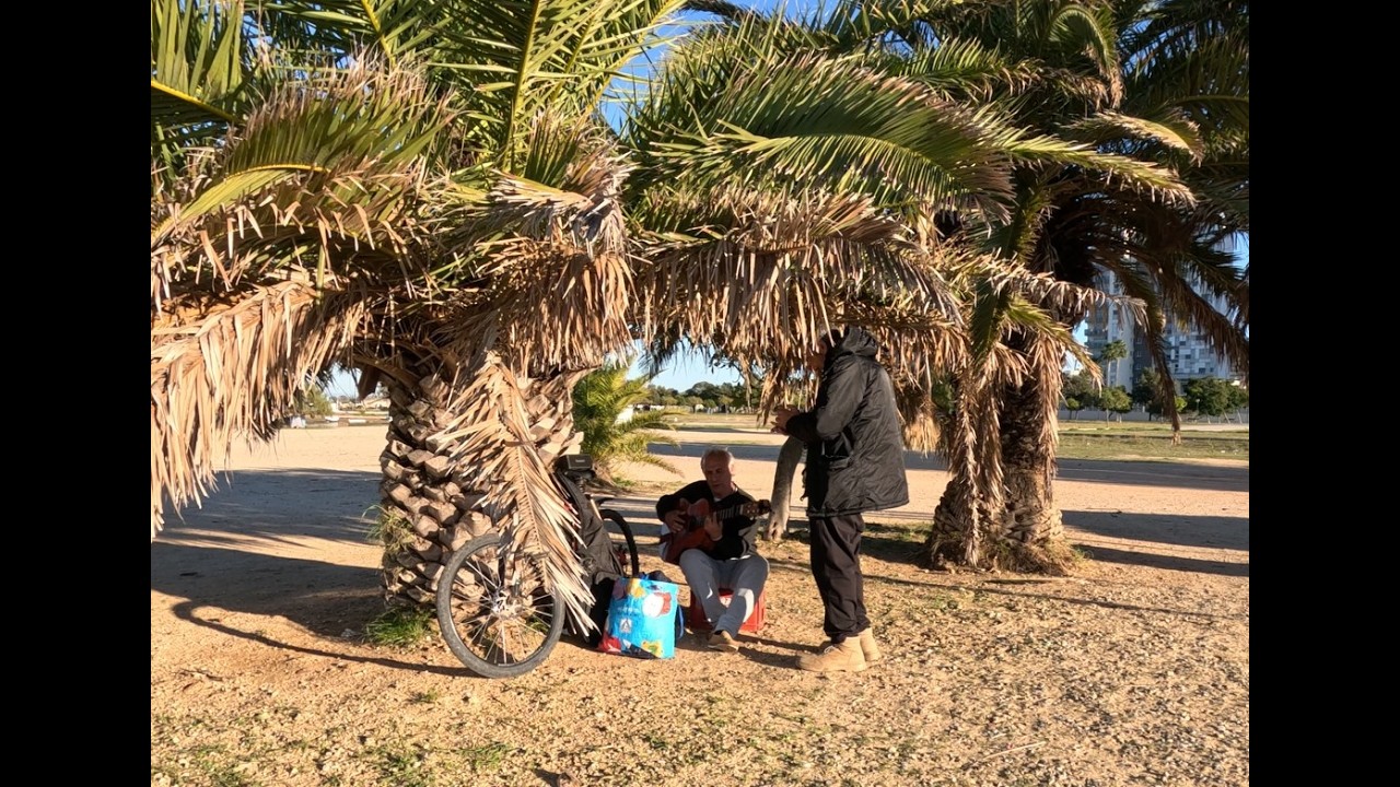 TWEE JAAR  IN ONS HONDENHOK OP WIELEN, ITV, Benalup, #itv #travel #bordercollie #camperlife