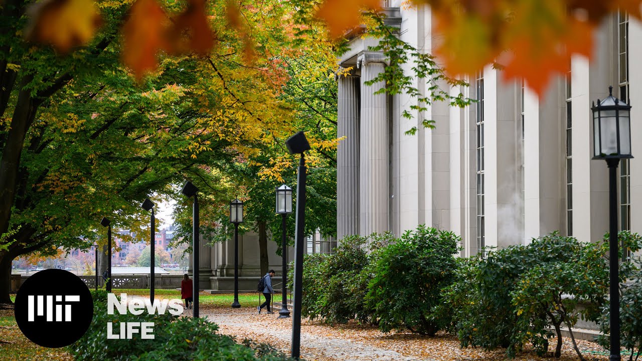 This is MIT