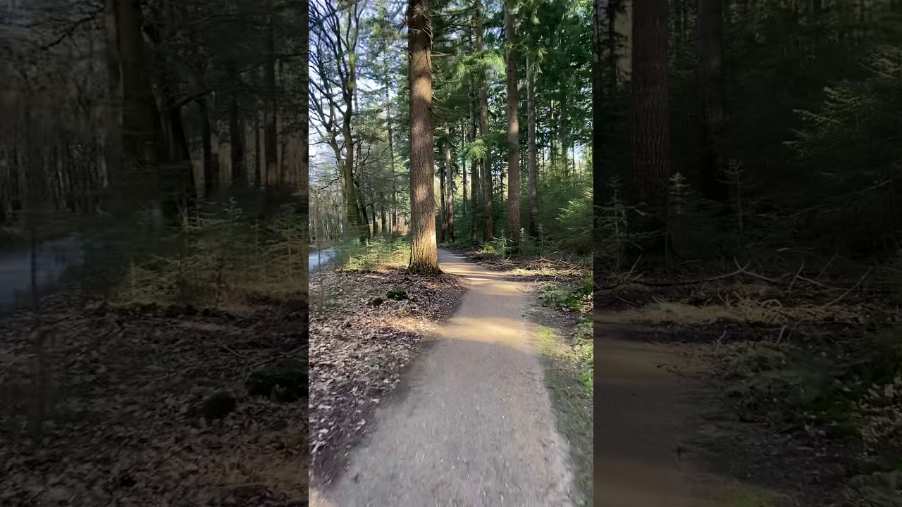 Ellecom to Eerbeek Feb2021