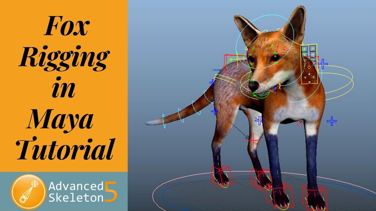 Fox Rigging in Maya / Advanced Skeleton Setup / Part -1