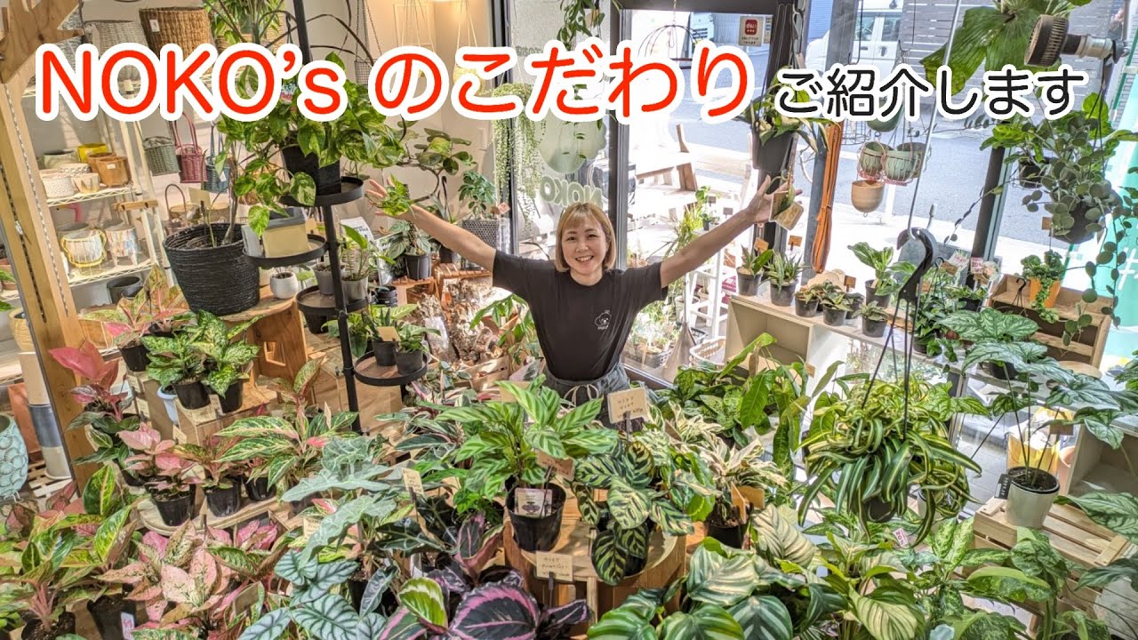 【こだわり】NOKO’s のこだわり７選をご紹介します！