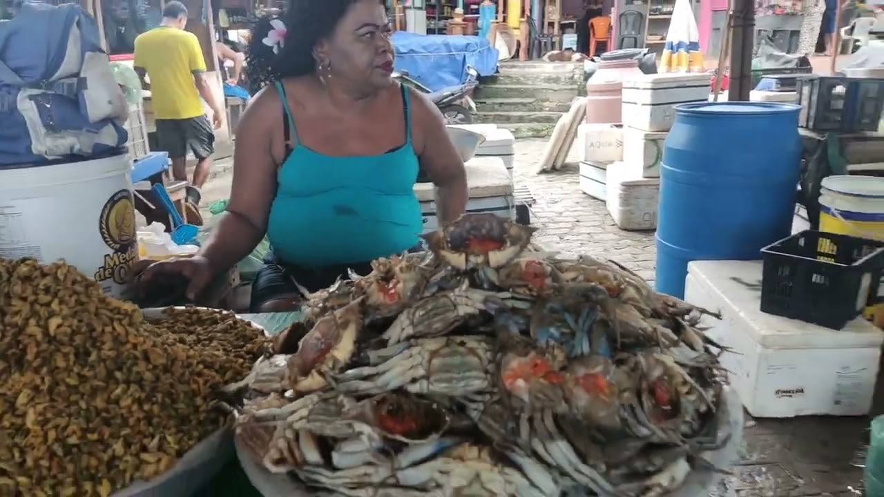 Mercado da produção feira livre camarão sururu siri bairro da leva dia.01.09.2025 Maceió Alagoa