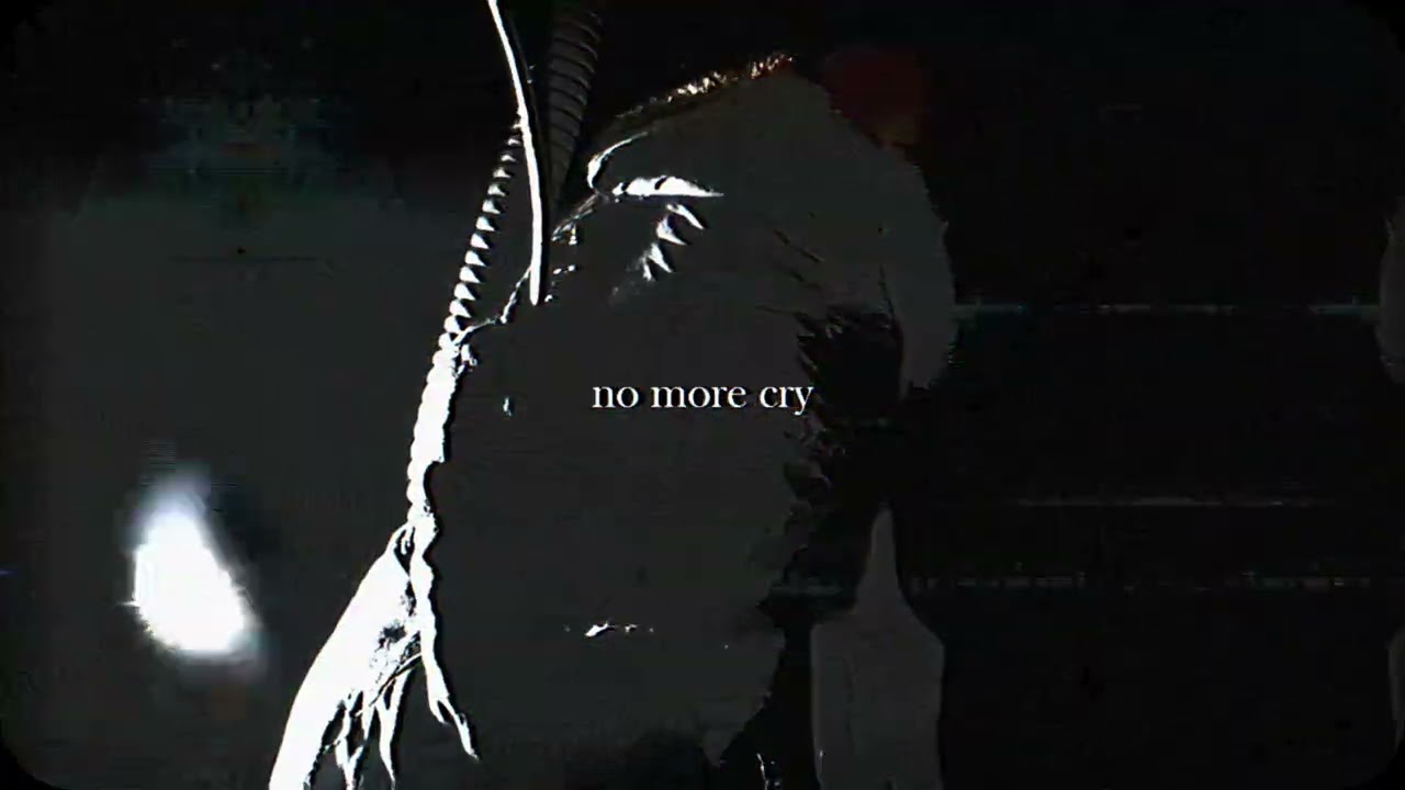 J.DEVIL — no more cry (2025)