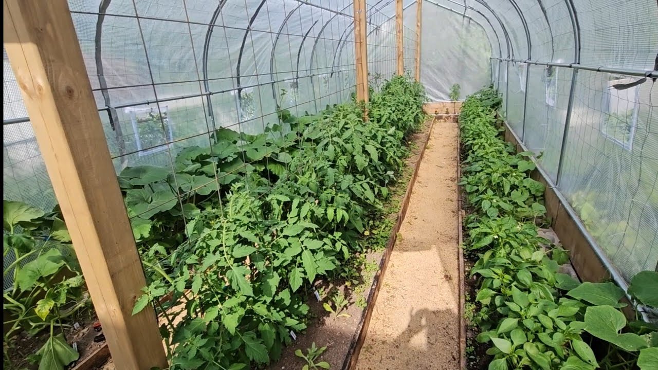 We turned an Amazon greenhouse into my dream High tunnel (Part 2)