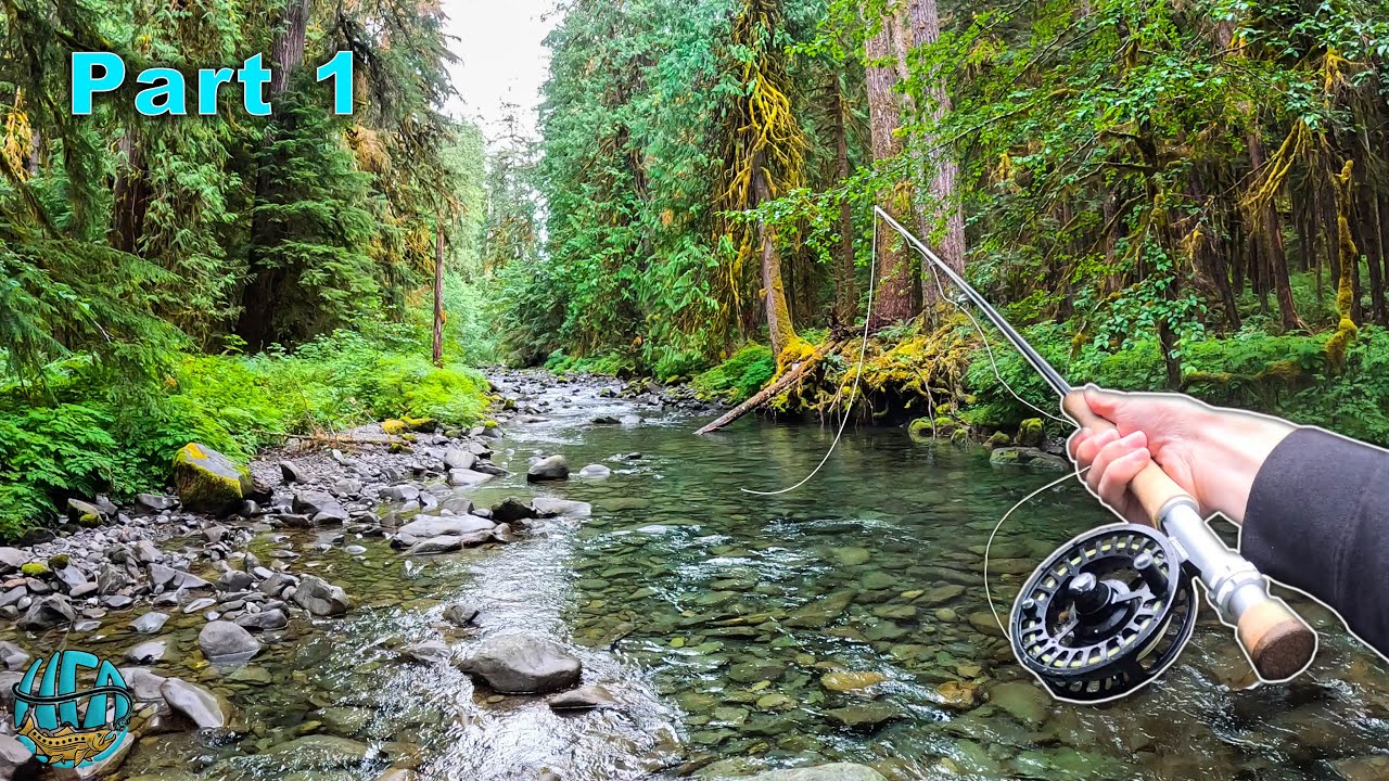 Catching a HUGE fish in a TINY CREEK! (34 Inches - Fly Fishing Washington)