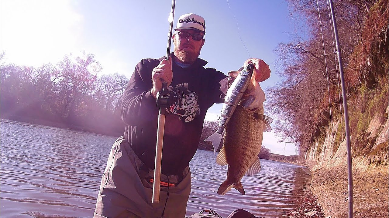Cast 2 Catch Balam 300 Madness Japan Swimbaiting Brazos River . Swimbait River Texas 