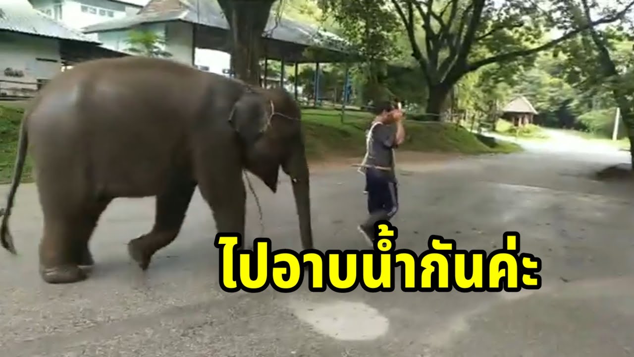 น้องแสนหวาน กับกิจวัตรประจำ
