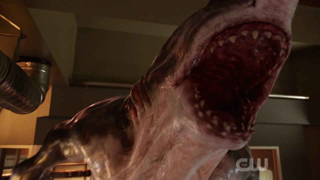 The Flash: Gorila Grodd v King Shark