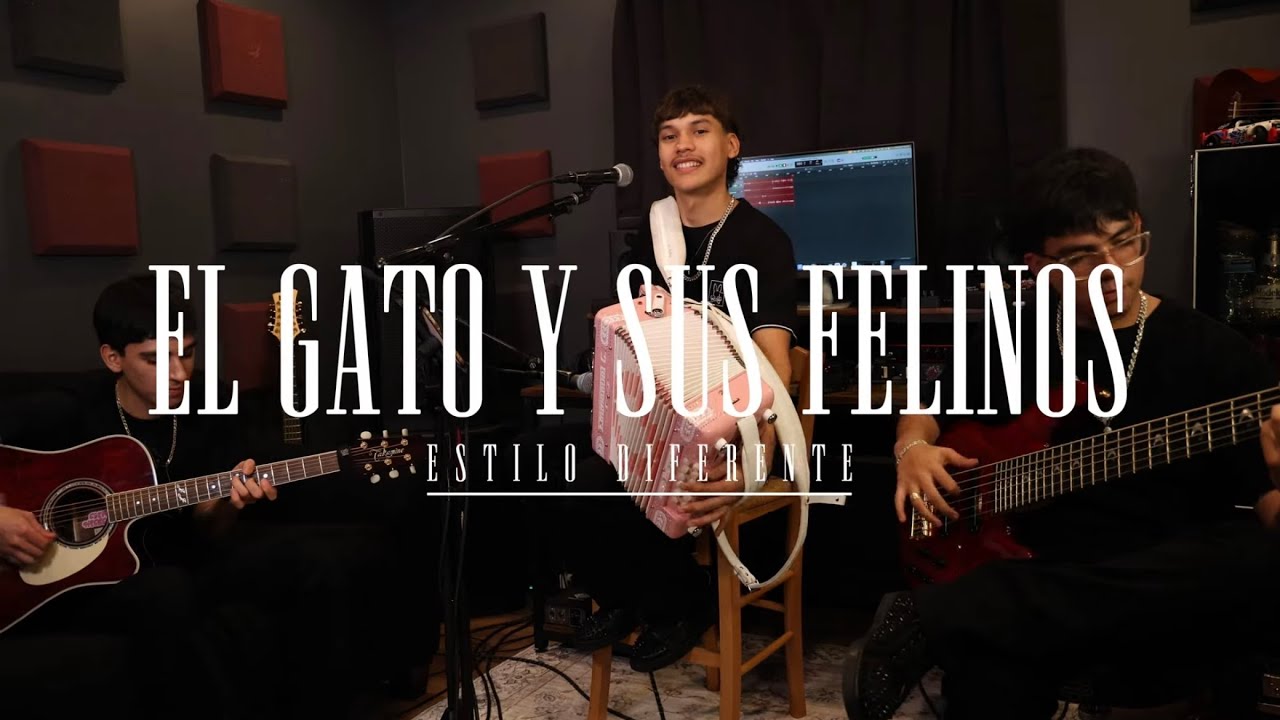 El Gato Y Sus Felinos - Estilo Diferente (Video Oficial) | Novillando