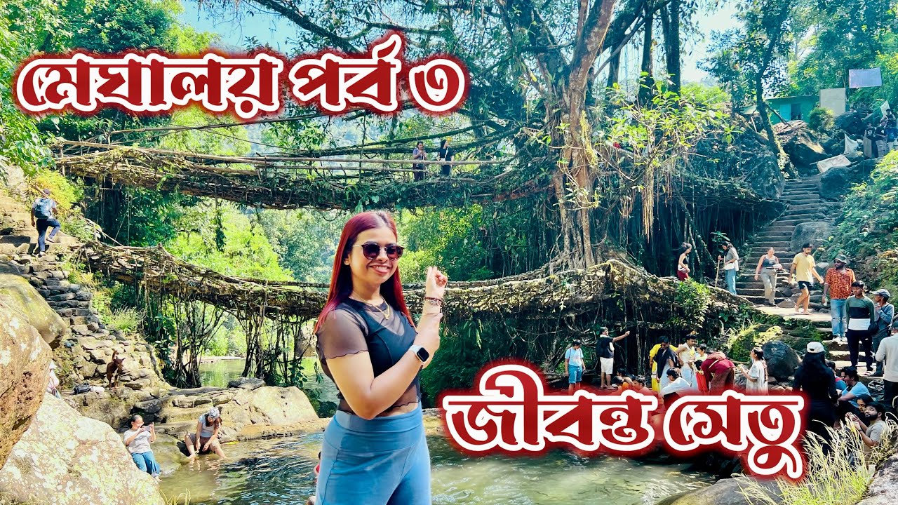 ৭০০০ সিড়ি পেরিয়ে পৌঁছলাম মেঘালয়ের জীবন্ত সেতু দেখতে । Double decker living root bridge। Meghalaya